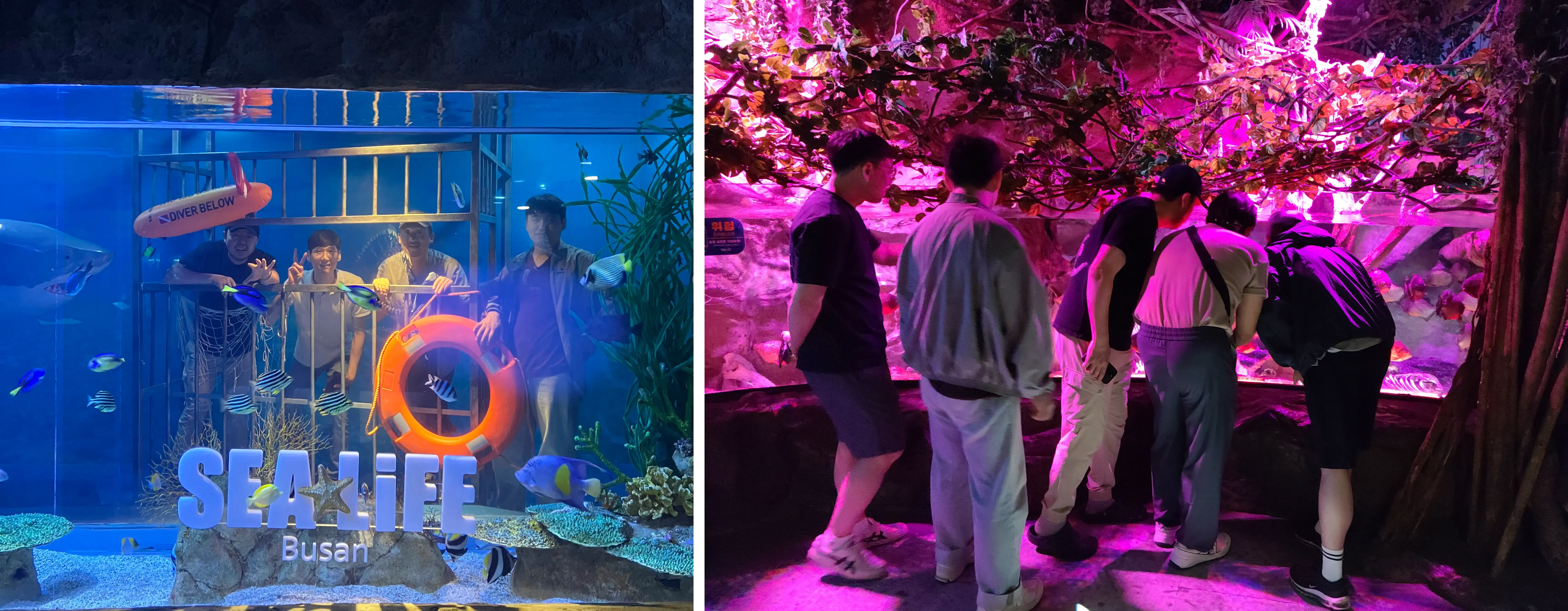 2024 연구개발팀 워크샵