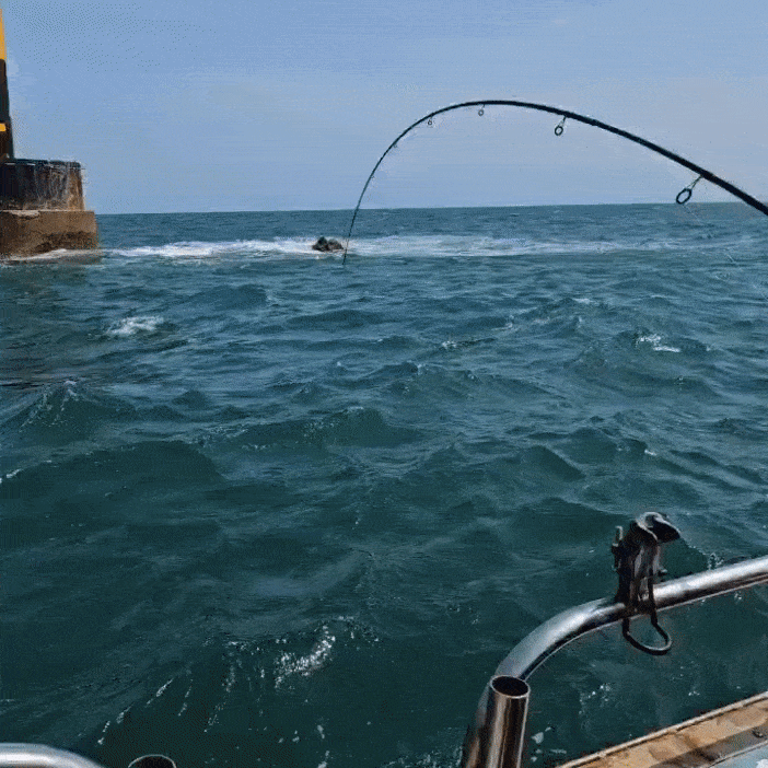 2024 연구개발팀 워크샵