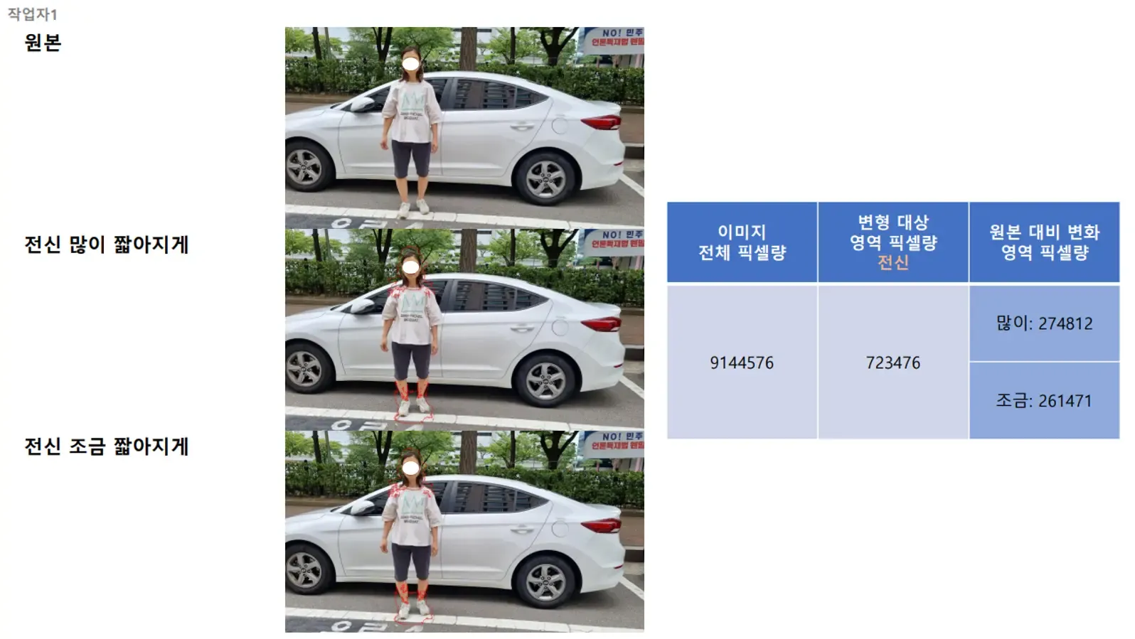 NIA 주관 인공지능 학습용 데이터 구축 사업